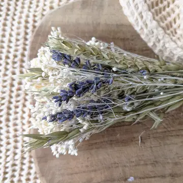 Colette - Kleiner Strauß natürlicher Trockenblumen