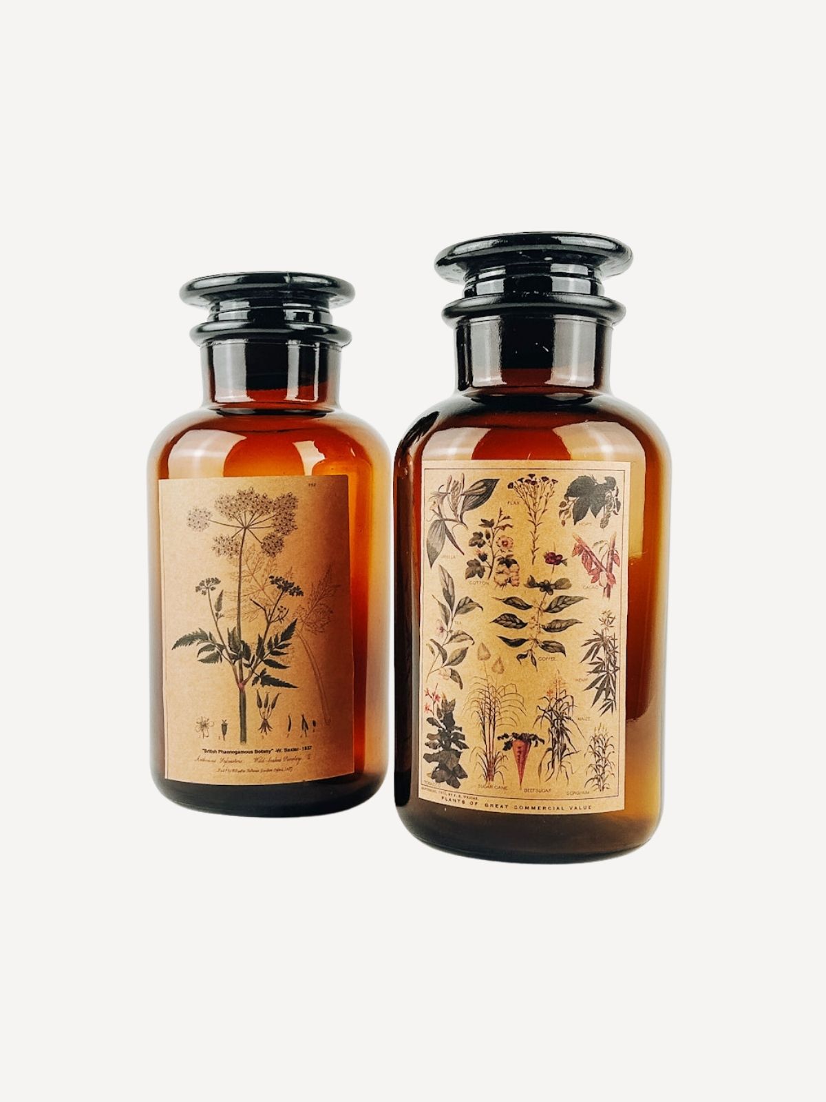 Glasflasche Herbs, 1 Stück (Zufällige Auswahl von 2 versch. Sorten) Glasflasche Herbs, 1 Stück (Zufällige Auswahl von 2 versch. Sorten)