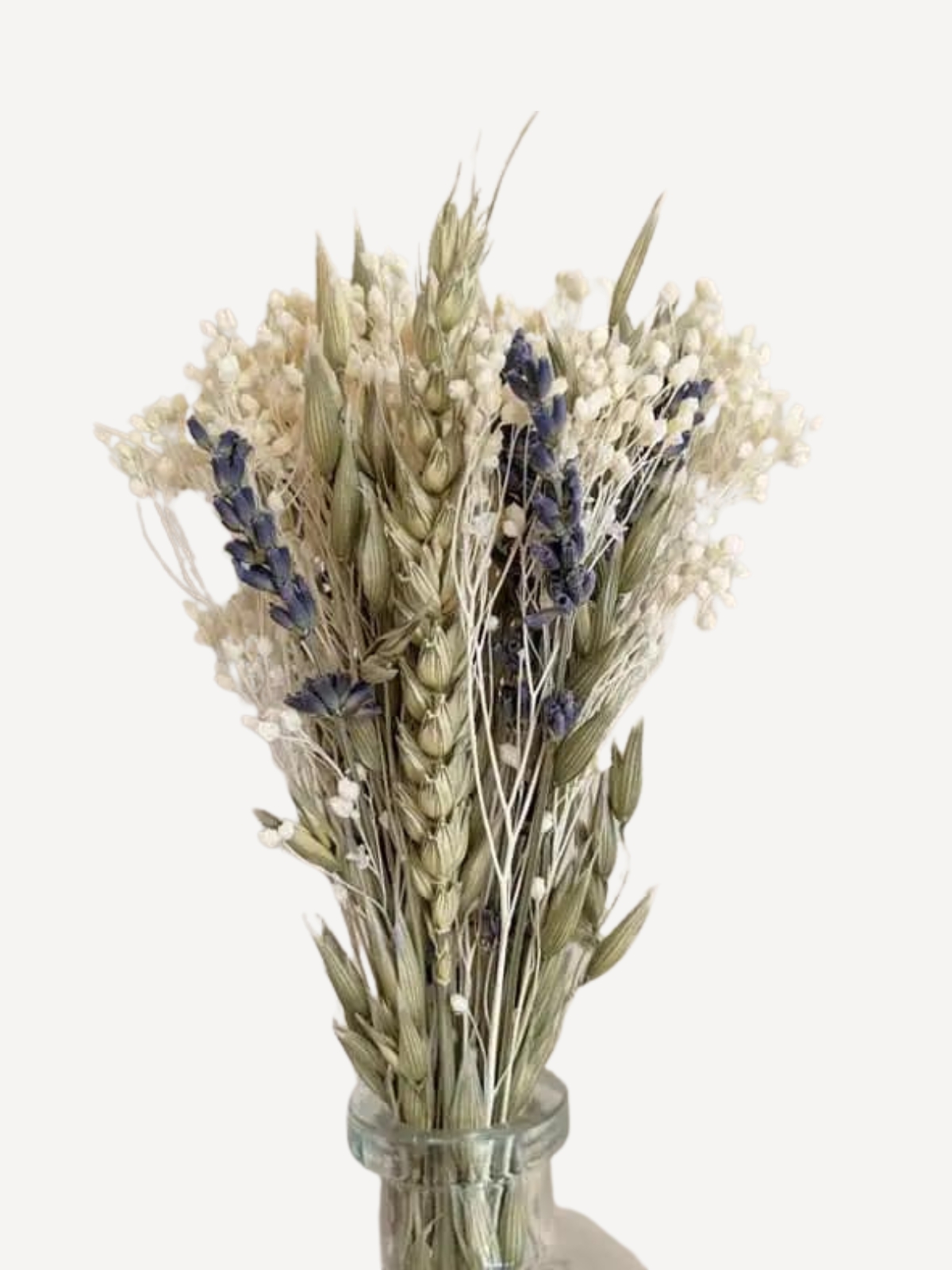 Colette - Kleiner Strauß natürlicher Trockenblumen Colette - Kleiner Strauß natürlicher Trockenblumen