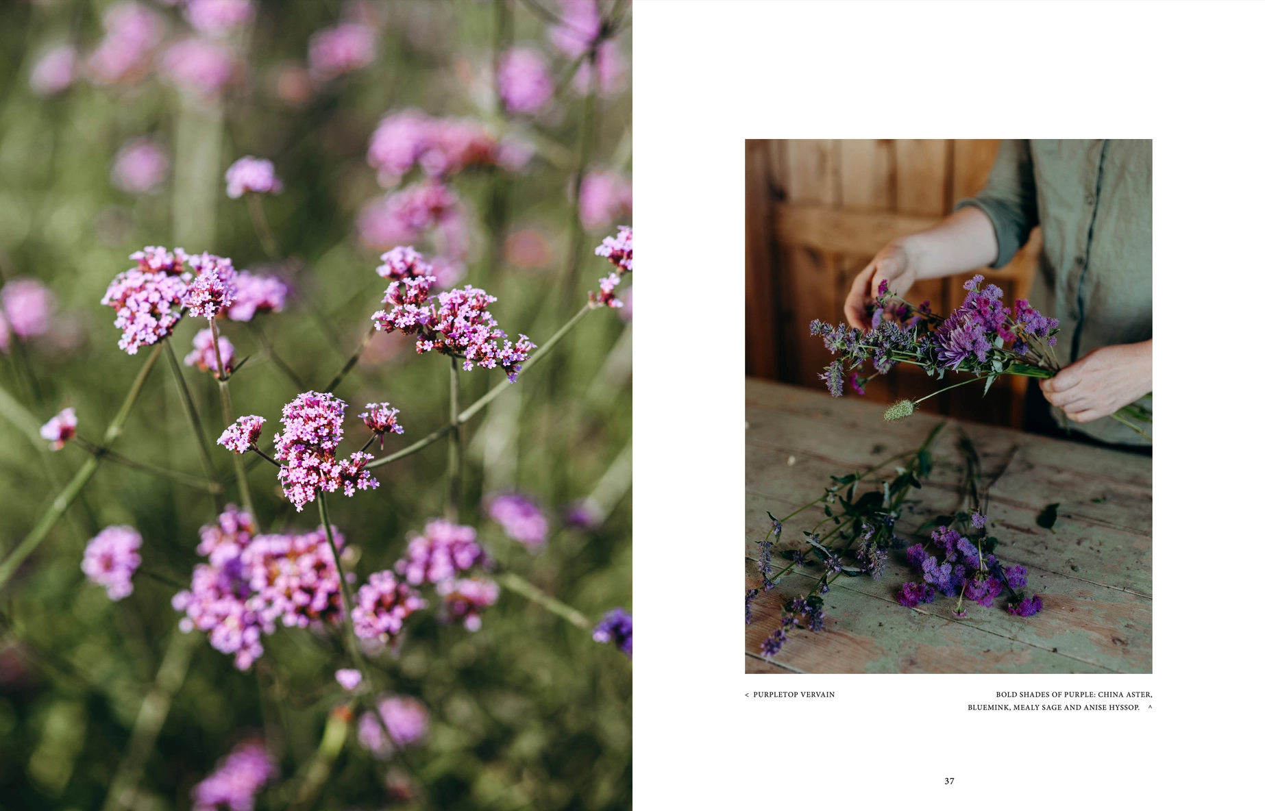 Buch Where Flowers Bloom Buch Where Flowers Bloom